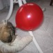 JUGANDO CON GLOBOS